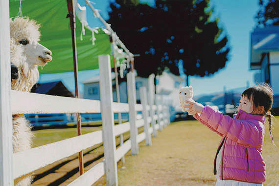 ふわふわのお友だちを連れてきたよ