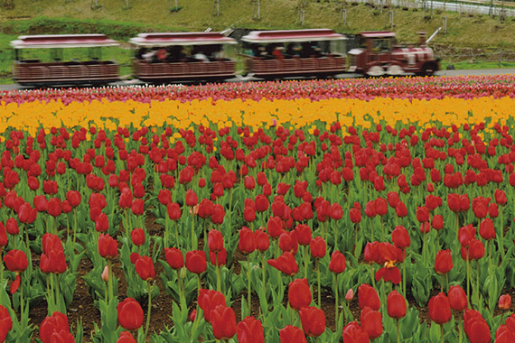 「快走するドット君」佐合 富春