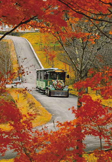 「秋彩の中を」丹羽 明仁