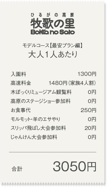 【最安プラン】大人1人あたり合計3050円