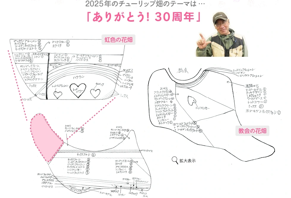 2025年のチューリップ畑のテーマは…「ありがとう!30周年」