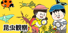 昆虫観察