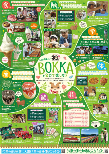 リーフレット裏面