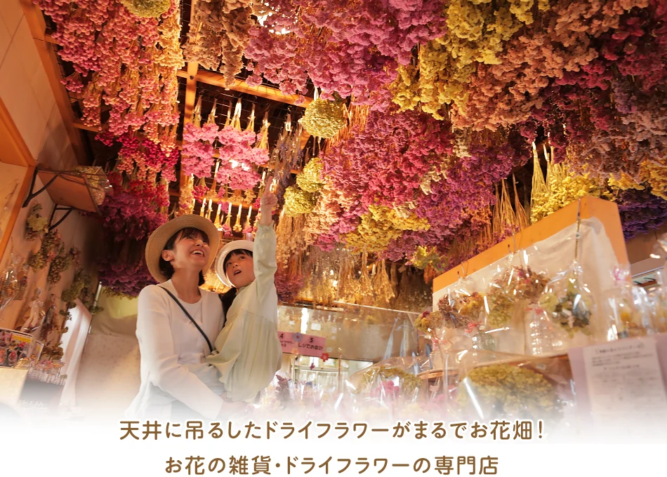 天井に吊るしたドライフラワーがまるでお花畑!お花の雑貨・ドライフラワーの専門店